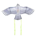Bird Scarer Dragon