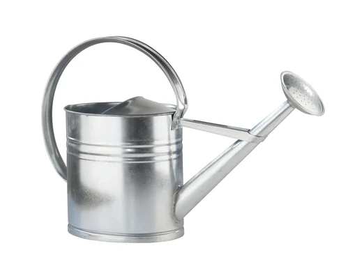 "galvanized watering can 10 L image"