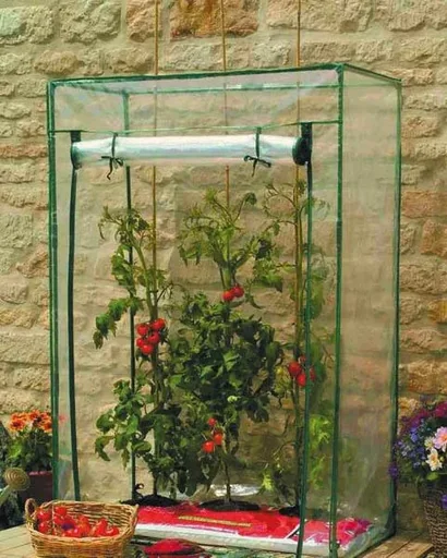 "Tomato greenhouse image"