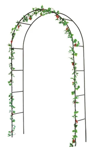 "Rose Arch image"