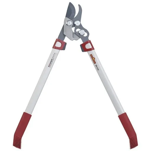 "PowerCut RR650 pruning shears image"