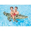inflatable crocodile
