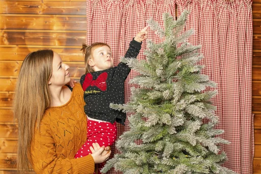 "Christmas tree spruce frost 180 cm image"