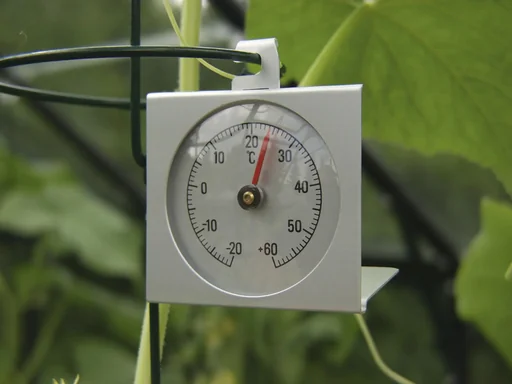 "Thermometer image"