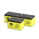 Ersatzakku E-Roller Camper 20 km/h Basic/Safety