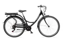 Unisex City E-Bike 28 inches, frame height 49 cm, 7-speed derailleur, black, Teutoburg Senne, Wave XXL