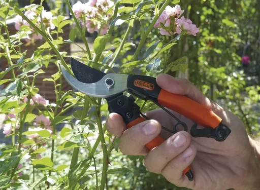 "Ladies' garden shears "Queen of Roses" image"