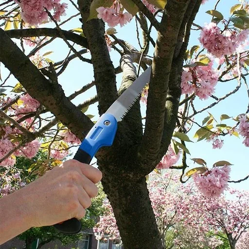 "Folding handsaw image"