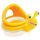 Baby Swimming Snail