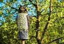 Garden Owl Bird Scarer