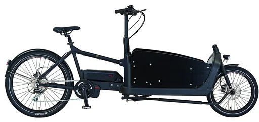 "Unisex cargo e-bike 20/26 inches, frame height 48 cm, 8-speed derailleur, black, CARGO 20.ETL.20 image"