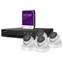 IP surveillance camera set - 4-channel network video recorder - 4 x white IP dome cameras - 2 TB hard drive - cable