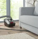 Segment dust blade, 8 parts with 2 connection adapters