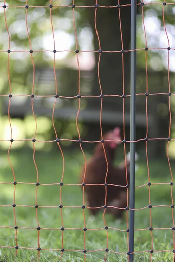 "Replacement post for poultry nets, 2 tips, black, 106 cm image"