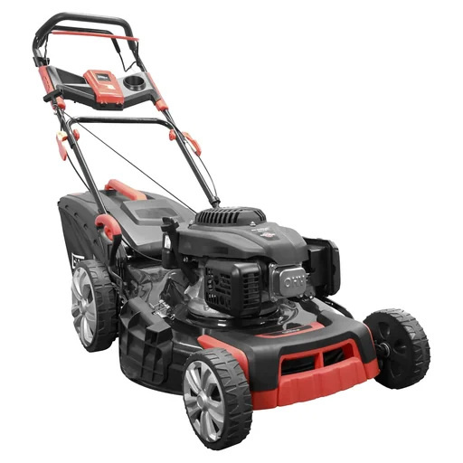"Big Wheeler 534.2R lawn mower image"