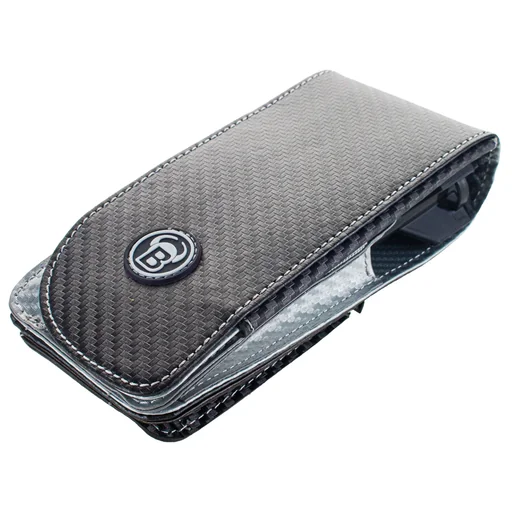 "SECC Dartcase degree image"