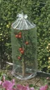 Tomato caps 3x