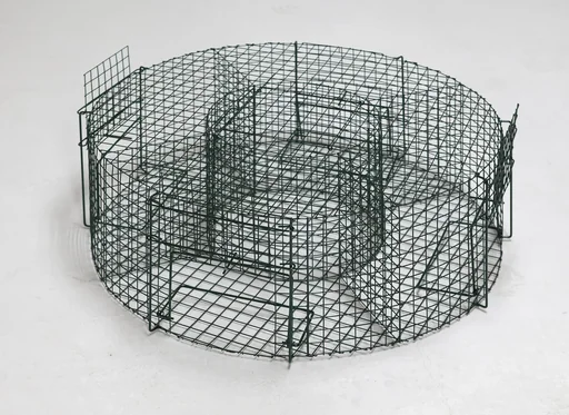 "Round trap magpies image"