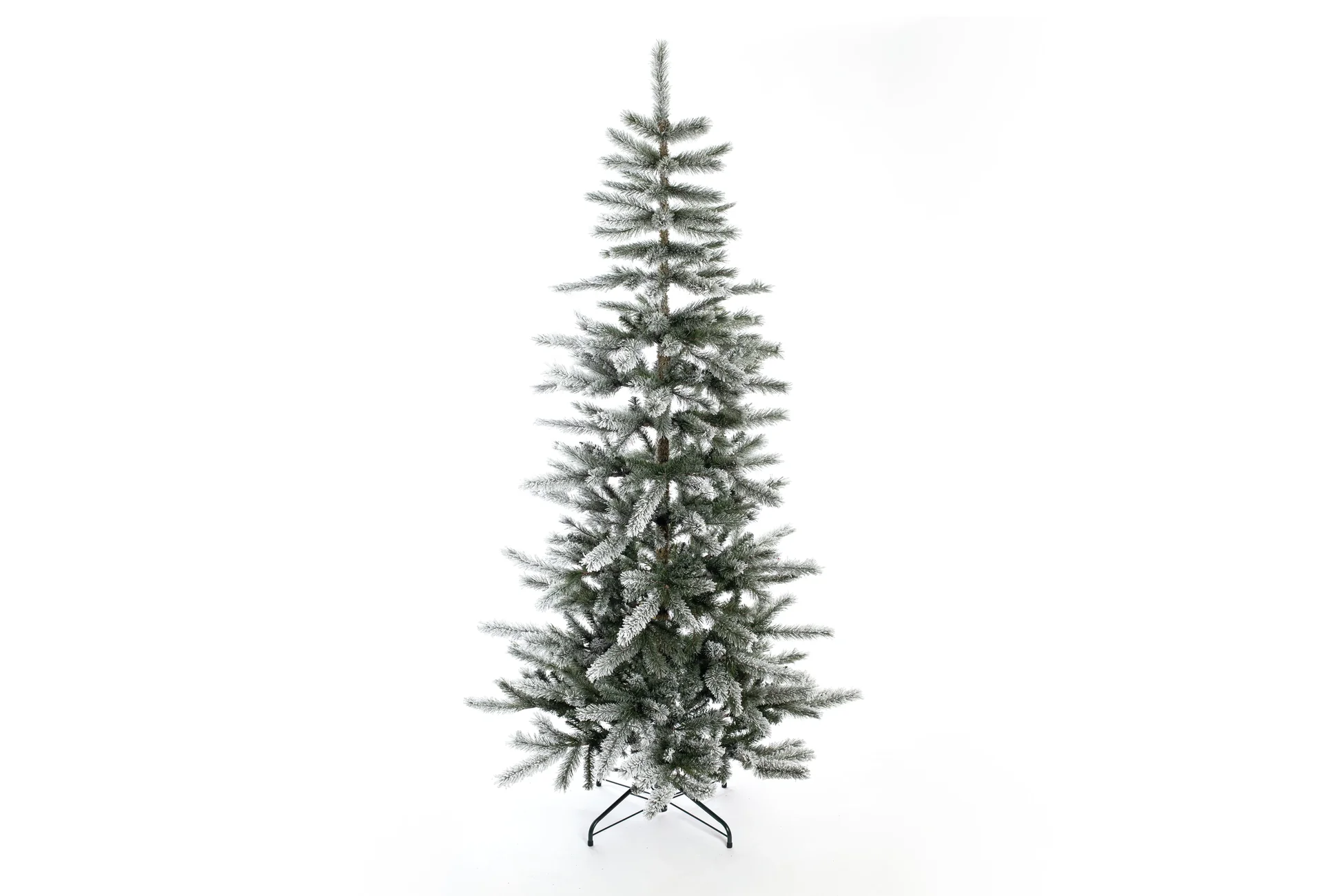 "Cedar Kiefer Frost 210 cm image"