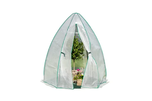 "Polytunnel Olive image"