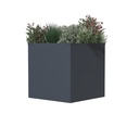 Westmann Planter Box Talus S Metal anthracite