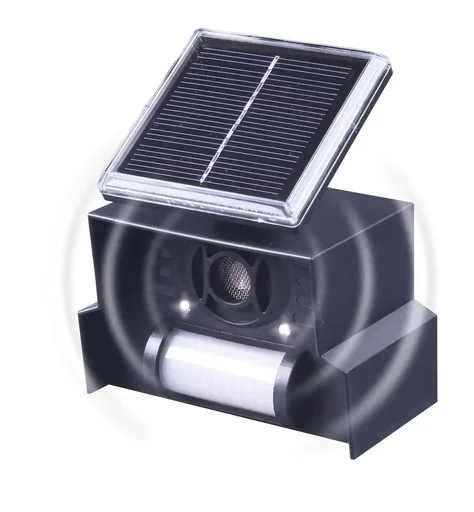"Solar bird repellent image"