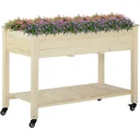 Raised bed with wheels and natural shelf