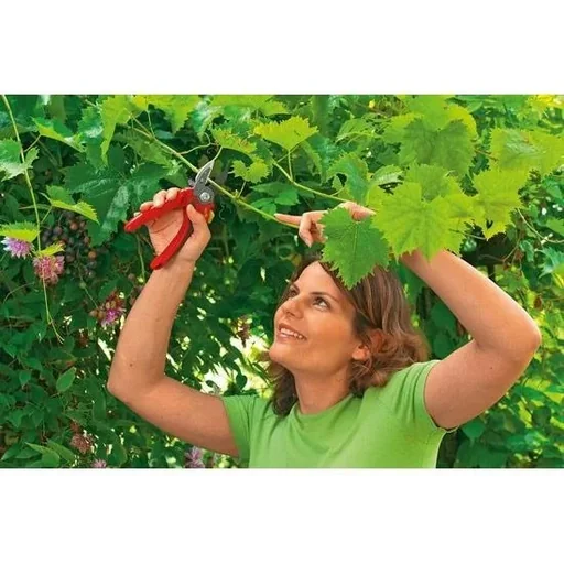 "Lopping shears Comfort Plus RS 2500 - anvil - max. cutting diameter 25 mm - left and right handed - cutting angle 30 image"