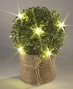 Boxwood round with golden glitter and LED lighting
