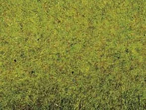 "Grass mat Summer meadow 200 x 100 cm image"