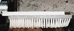 "Replacement brush for back scrubbing brush image"