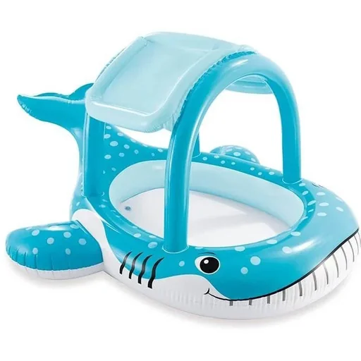 "Swimming with whale roof in shape image"