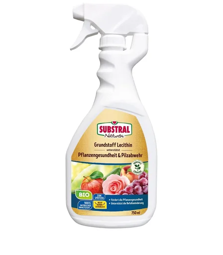 "Basic Lecithin Spray 750 ml image"