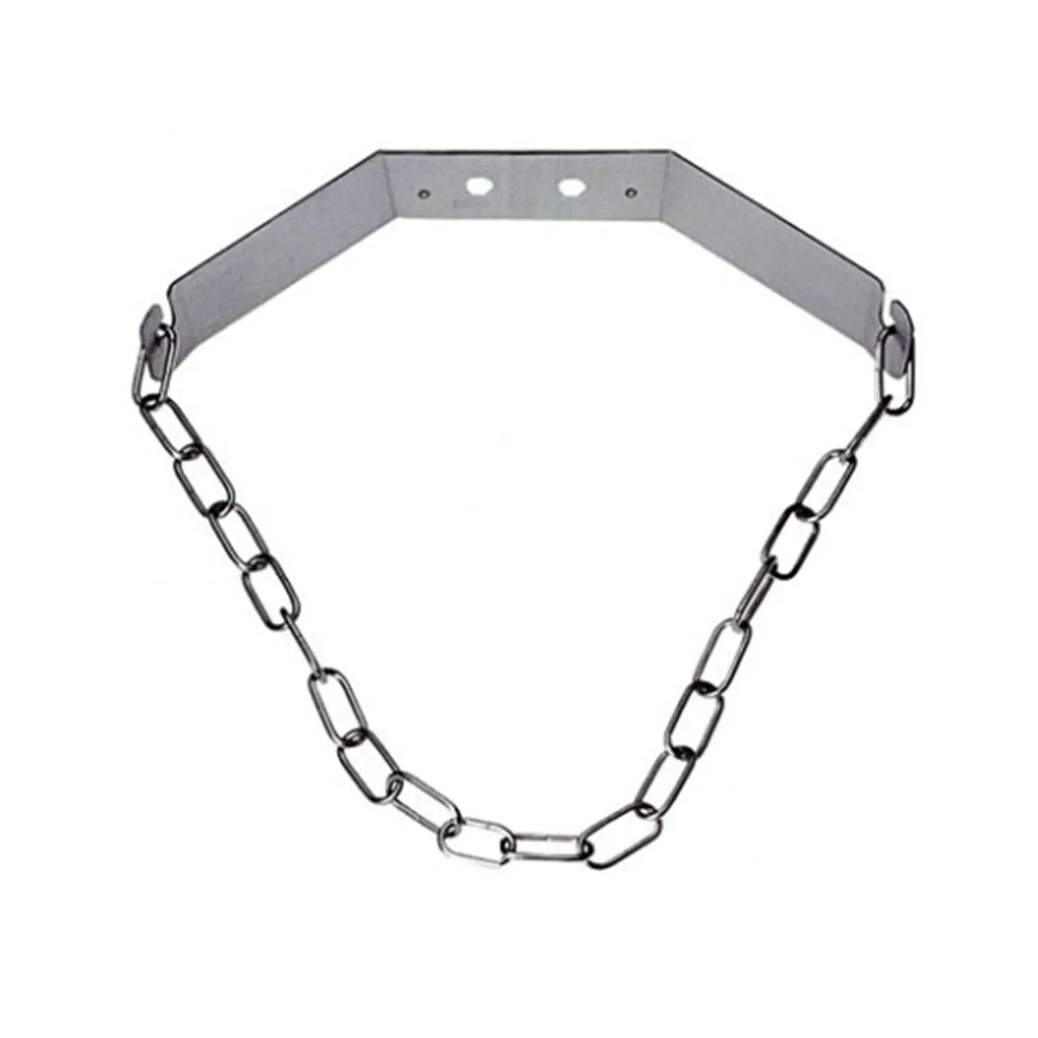 "Bottle holder for CO2 bottle - 2 kg image"