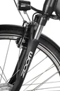 Unisex City E-Bike 28 inches, frame height 45 cm, 7-speed hub gear, black, Munich