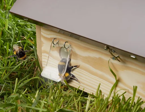 "Wax moth barrier for bumblebee houses image"