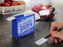 Freezer labels in dispenser, 500 pieces
