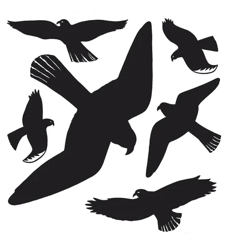 "Warning bird sticker for windows, black, 30 x 30 cm image"