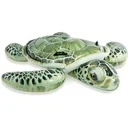 inflatable turtle