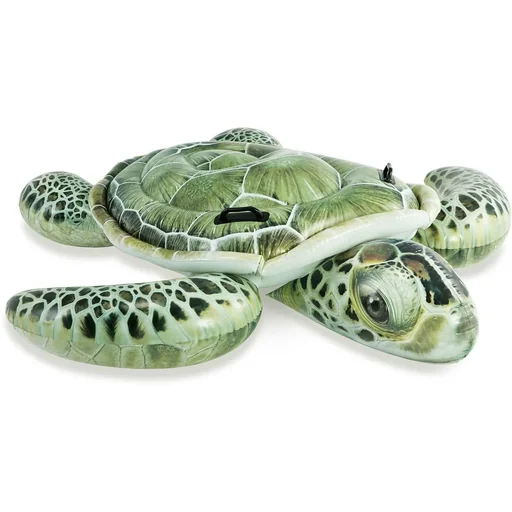 "inflatable turtle image"