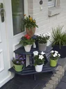 Flower staircase "Anja" corner element anthracite