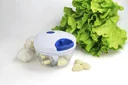 Mini cutter onion - chopper