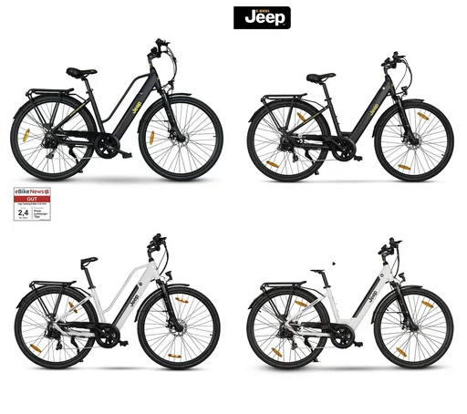 "Unisex Trekking E-Bike, 28 inches, frame size 46 cm, 7-speed derailleur, black, TLR 7020 image"