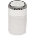 2-in-1 air purifier and dehumidifier including replacement filter