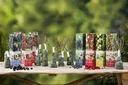 Flower-up set with 8 fruit trees 30-40cm