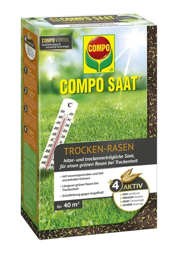 "Dry lawn "SEED"- 1 kg image"
