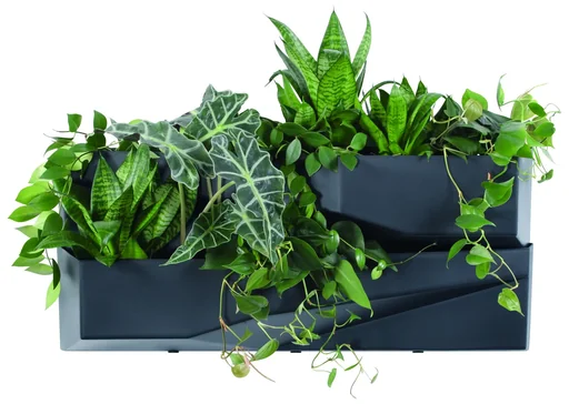 "Cascades planter, anthracite image"